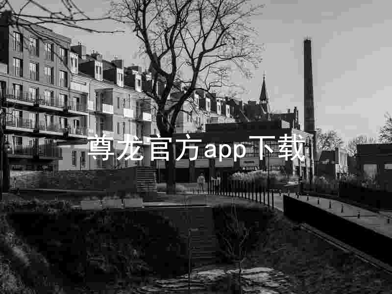 尊龙官方app下载