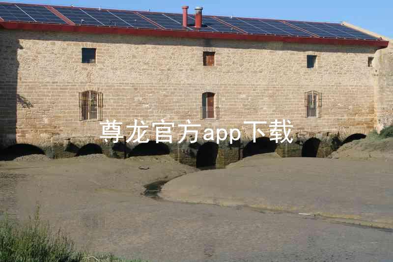 尊龙官方app下载